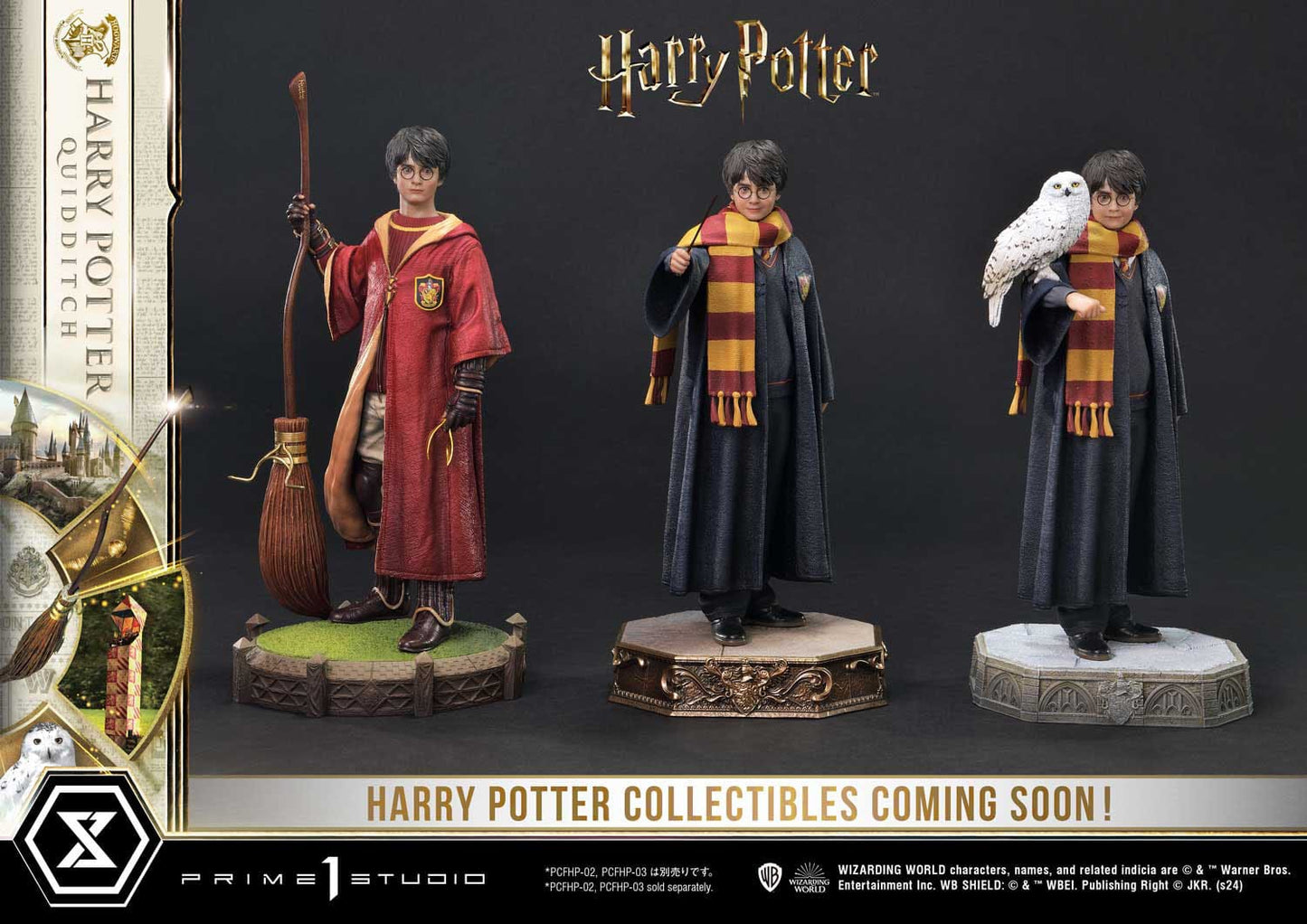 Harry Potter Quidditch Edition