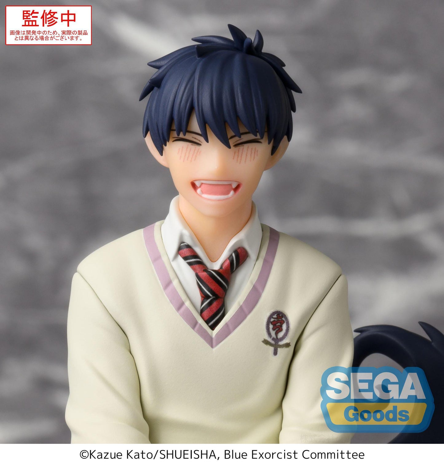 Rin Okumura PM Perching Sega