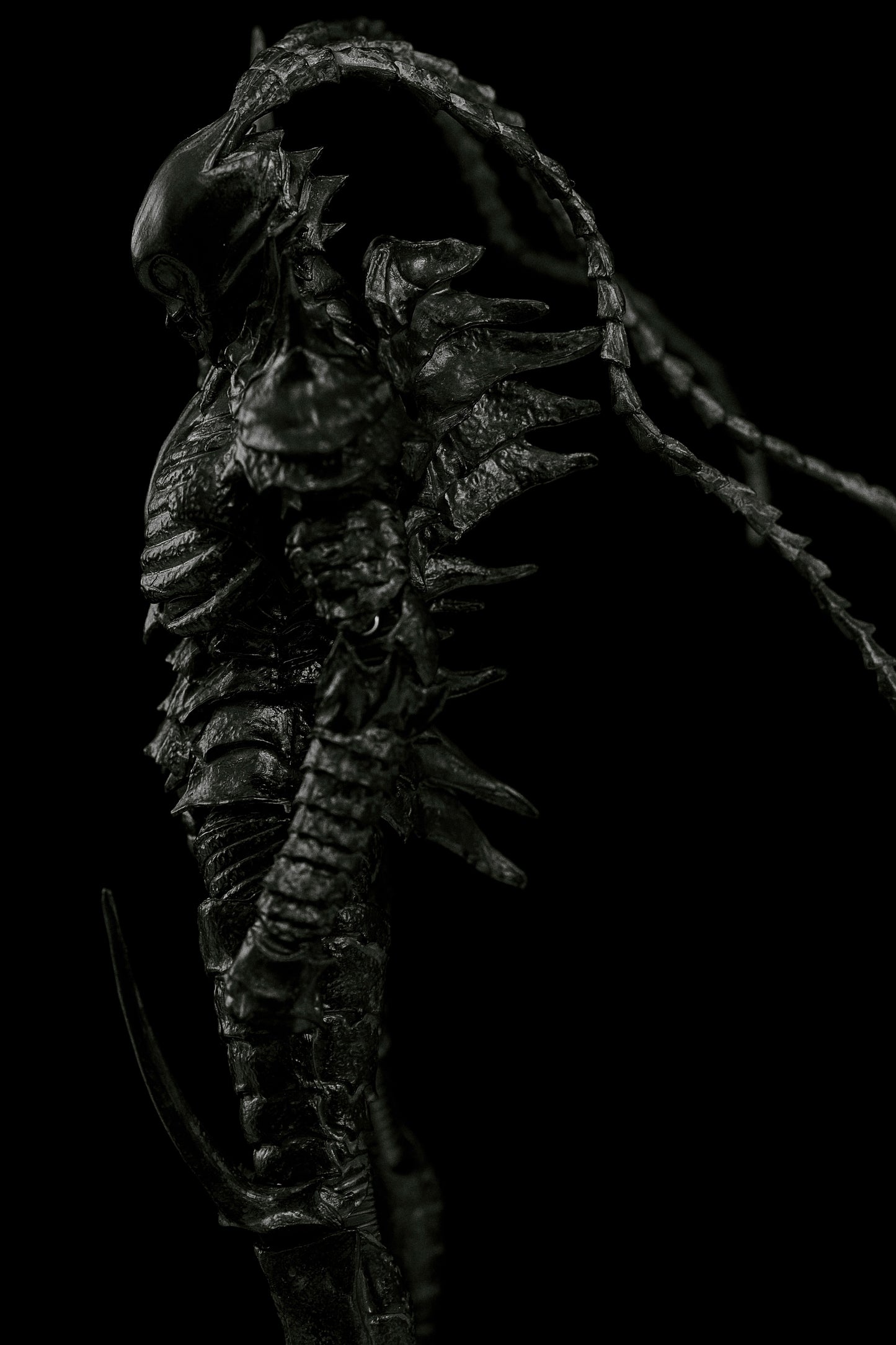 Black Gauna Nayuta Abara T.E.S.T - Anime Figuren günstig kaufen