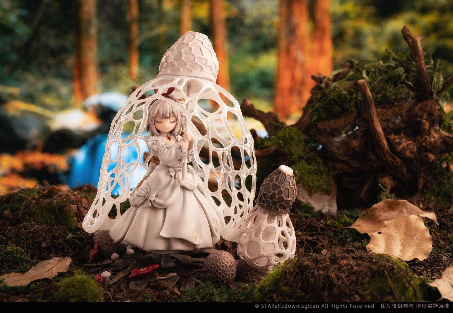 Dictyophora Indusiata The Mushroom Girls Reverse Studio