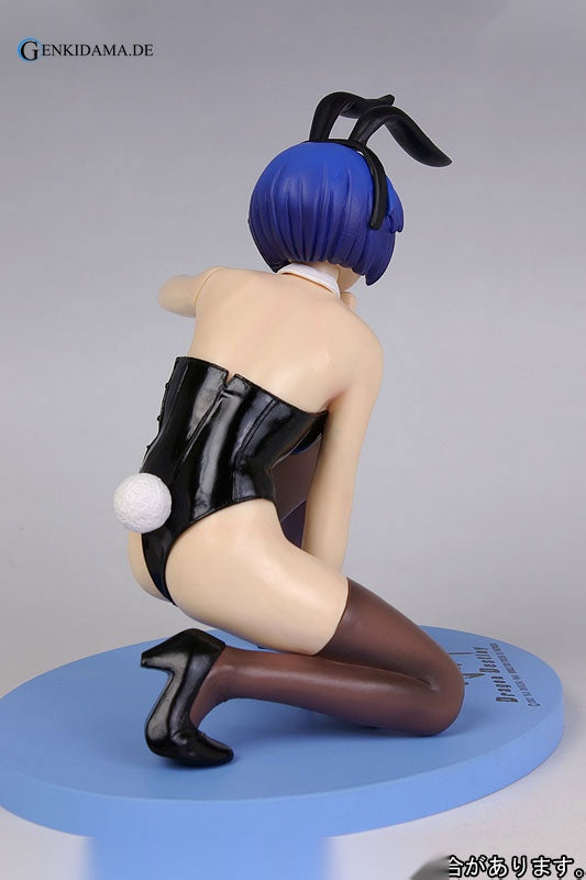 Ikkitousen Dragon Destiny - Shimei Ryomou (Maid Costume)