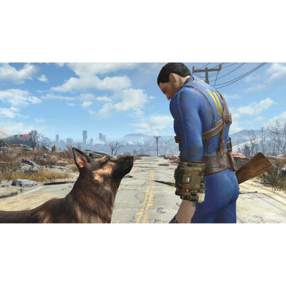 Fallout 4 Anniversary Edition (Code in a Box)