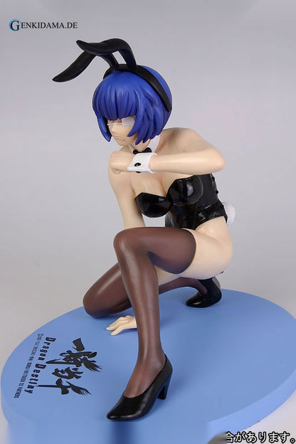 Ikkitousen Dragon Destiny - Shimei Ryomou (Maid Costume)