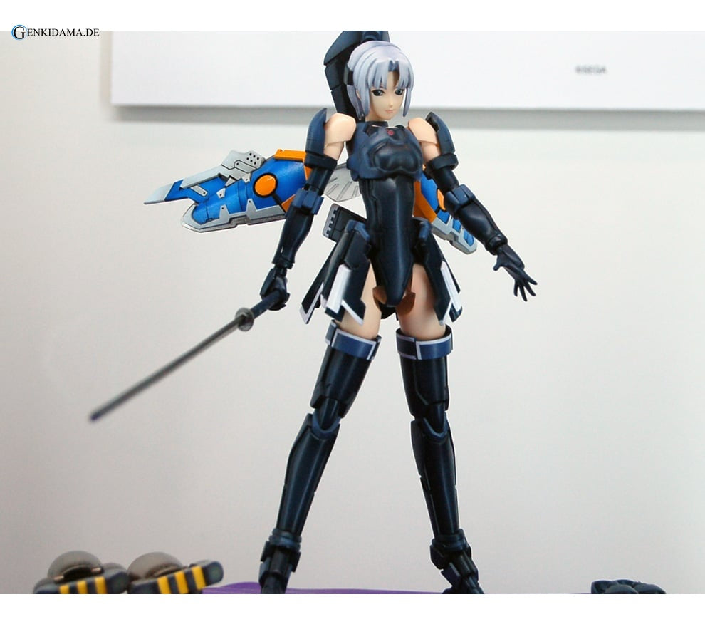 RAcaseal Shino Ver.APSY (Plastic model)
