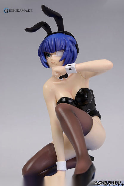 Ikkitousen Dragon Destiny - Shimei Ryomou (Maid Costume)