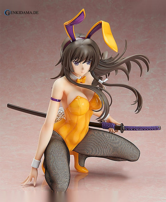 Alternative Total Eclipse - Yui Takamura Bunny Ver.
