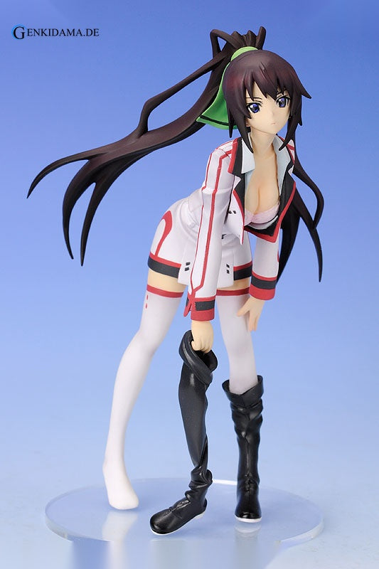 Staind Series #2 Infinite Stratos Houki Shinonono