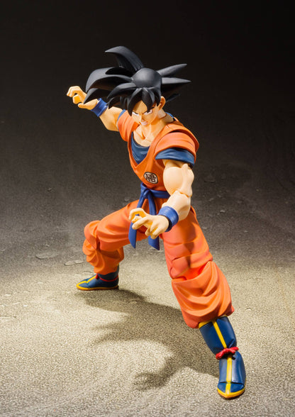 Son Goku (A Saiyan Raised On Earth) - S.H. Figuarts / Dragonball Z