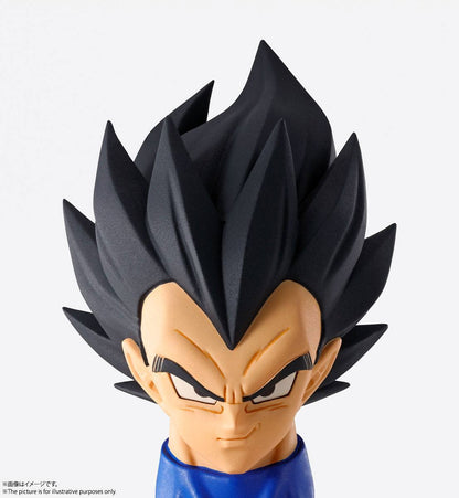 Vegeta Imagination Works Bandai Tamashii Nations