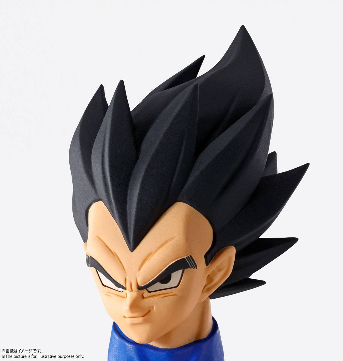Vegeta Imagination Works Bandai Tamashii Nations