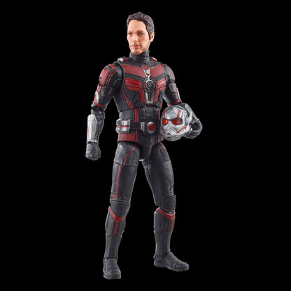 Scott Lang - Ant-Man and the Wasp: Quantumania - Hasbro