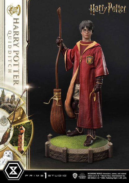 Harry Potter Quidditch Edition