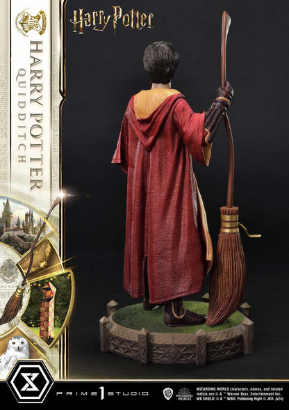 Harry Potter Quidditch Edition