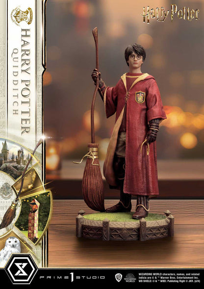 Harry Potter Quidditch Edition