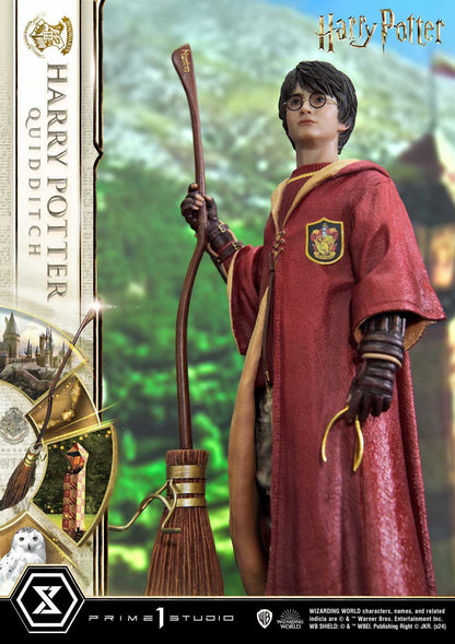 Harry Potter Quidditch Edition