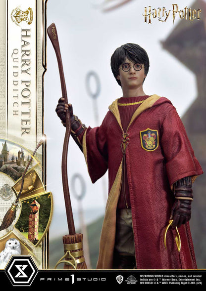 Harry Potter Quidditch Edition
