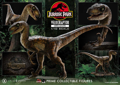 Velociraptor Open Mouth Prime 1 Studios