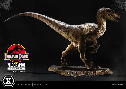 Velociraptor Open Mouth Prime 1 Studios