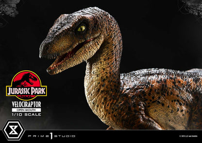 Velociraptor Open Mouth Prime 1 Studios