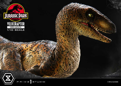 Velociraptor Open Mouth Prime 1 Studios