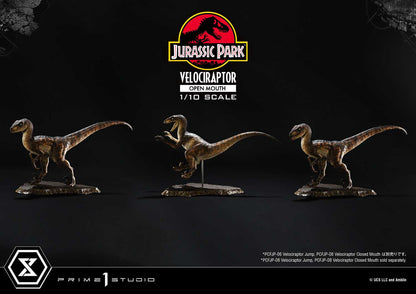 Velociraptor Open Mouth Prime 1 Studios