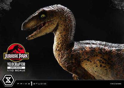 Velociraptor Open Mouth Prime 1 Studios