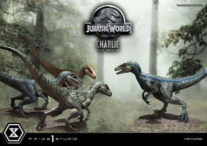 Charlie - Prime Collectibles - Prime 1 Studios - Anime Figuren günstig kaufen