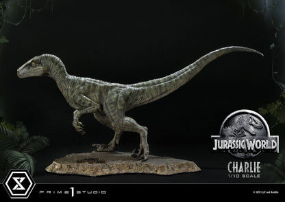 Charlie - Prime Collectibles - Prime 1 Studios - Anime Figuren günstig kaufen