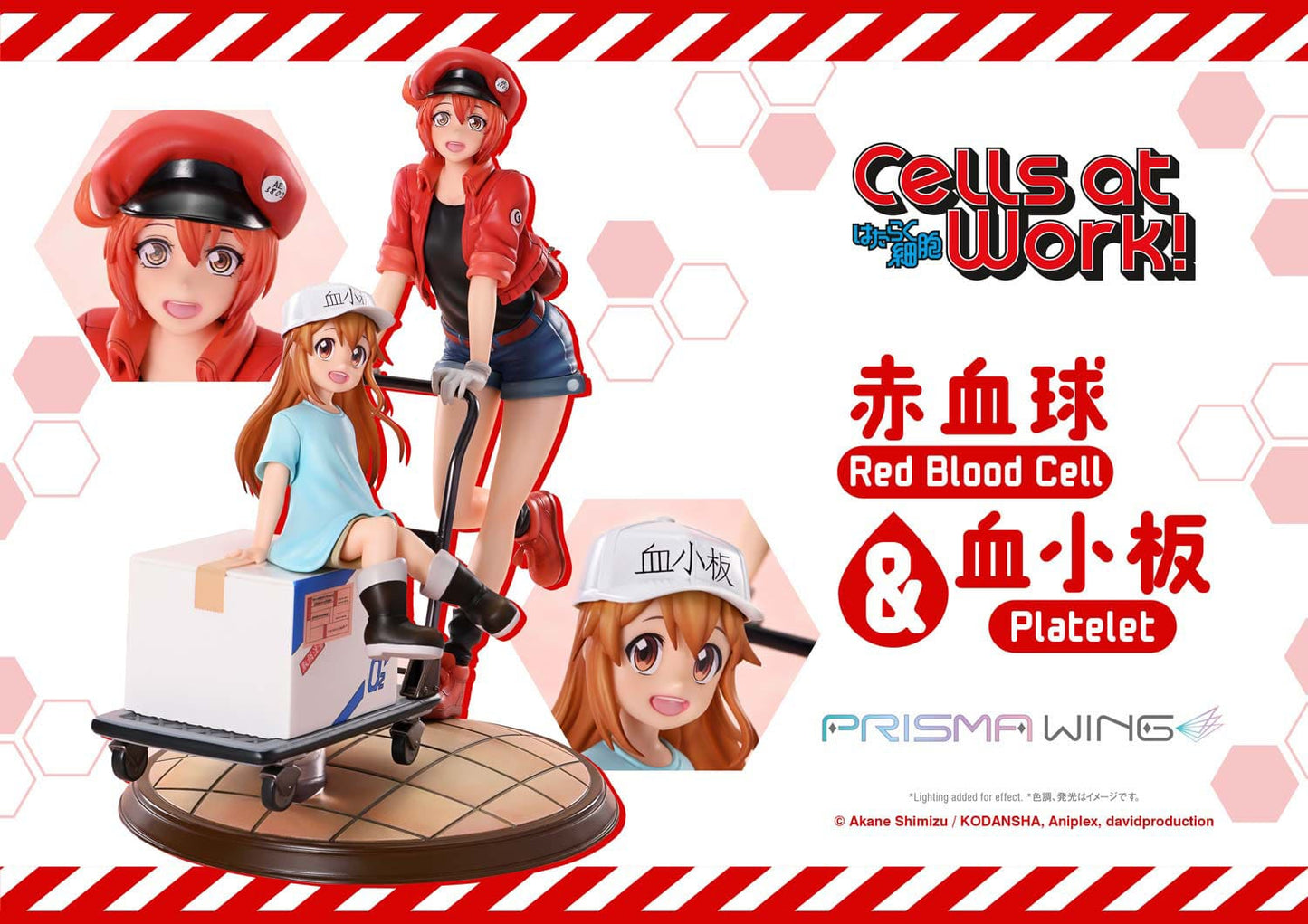 Red Blood Cell & Platelet Prisma Wing Prime 1 Studio