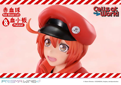 Red Blood Cell & Platelet Prisma Wing Prime 1 Studio