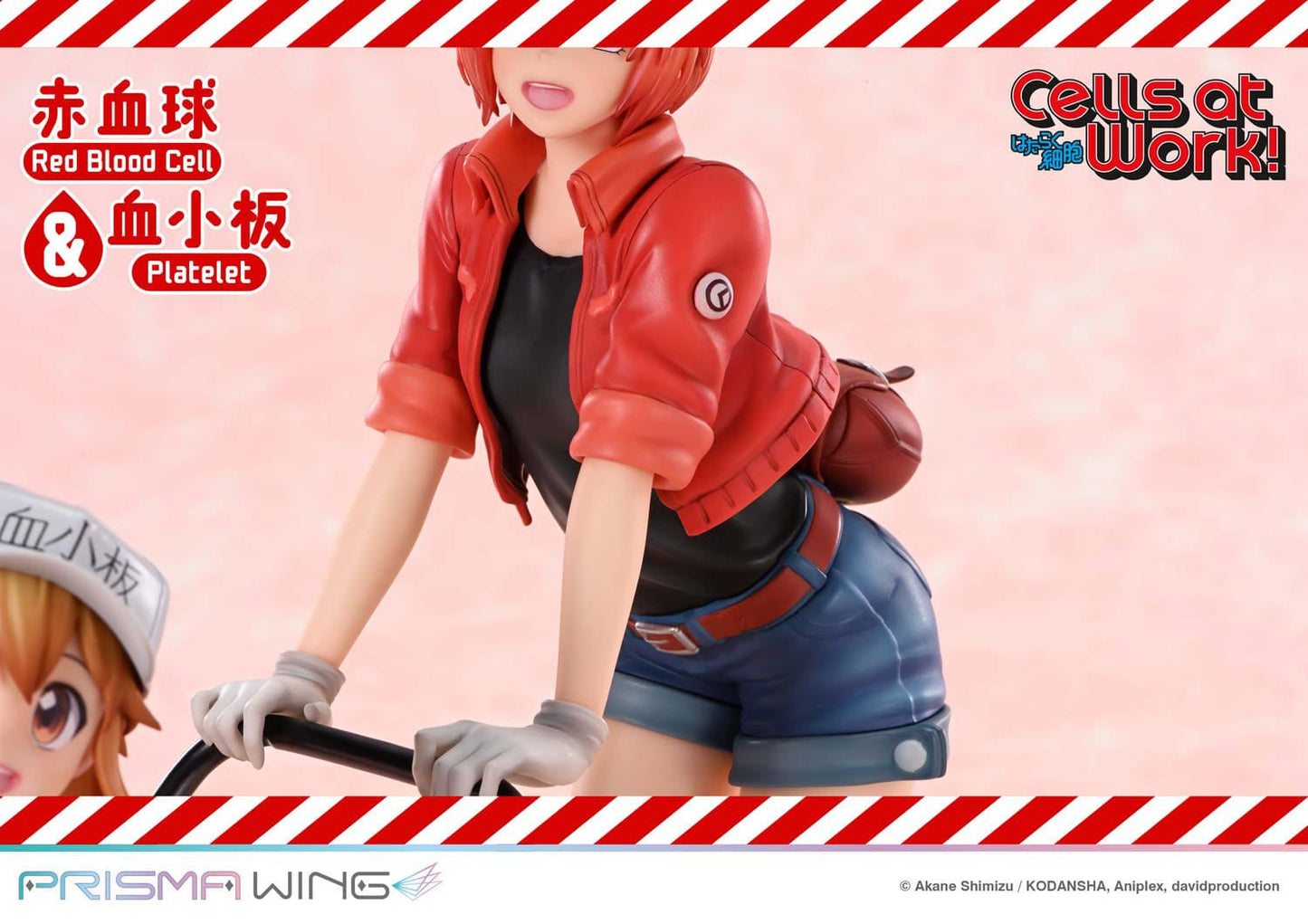 Red Blood Cell & Platelet Prisma Wing Prime 1 Studio