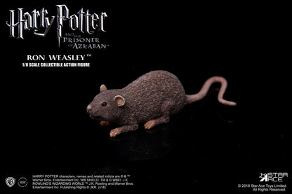 Ron Weasley - Deluxe Ver. - Star Ace Toys