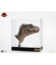 The Lost World: Jurassic Park Replik Junior T-Rex Prop (Reproduction) - Anime Figuren günstig kaufen