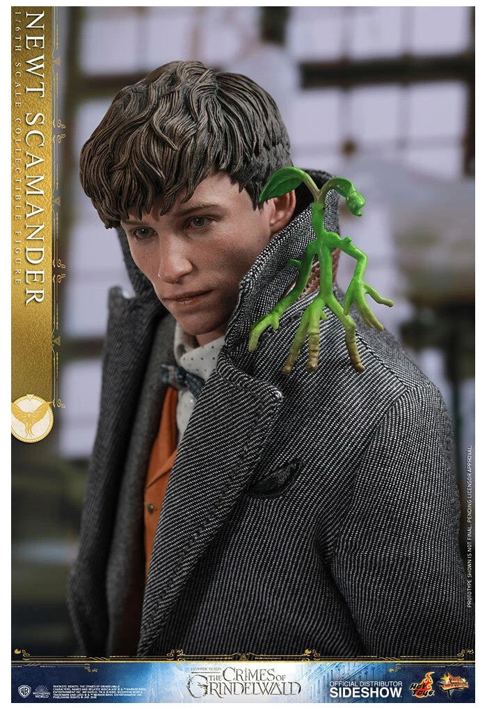 Newt Scamander 1/6 Scale Collectible Figure – Hot Toys (Fantastic Beasts: The Crimes of Grindelwald) - Anime Figuren günstig kaufen