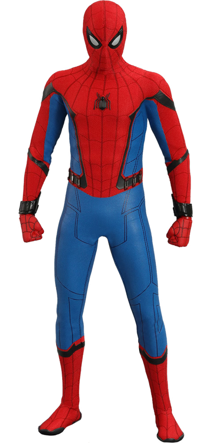 Spider-Man 1/6 Scale Collectible Figure – Hot Toys - Anime Figuren günstig kaufen
