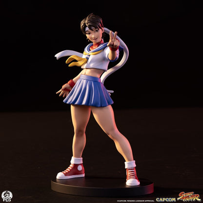 Street Fighter Street Jam Statuen Sakura & Sodom - Anime Figuren günstig kaufen