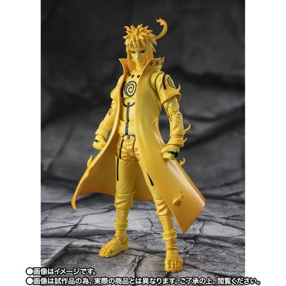 Anime Figuren günstig bei genkidama.de