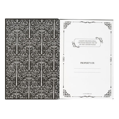 Harry Potter Premium Notizbuch A5 mit Licht Lumos Maxima - Anime Figuren günstig kaufen