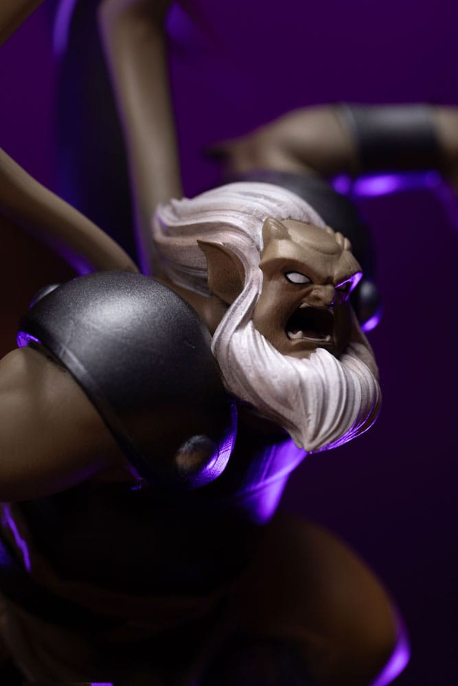 Anime Figuren günstig bei genkidama.de