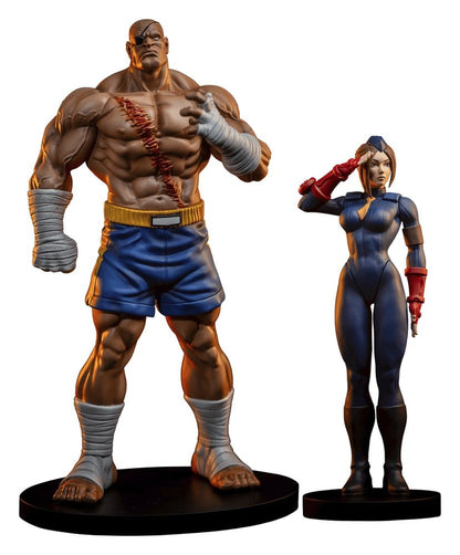 Street Fighter Street Jam Statuen 1/10 Sagat & Juli 24 cm - Anime Figuren günstig kaufen