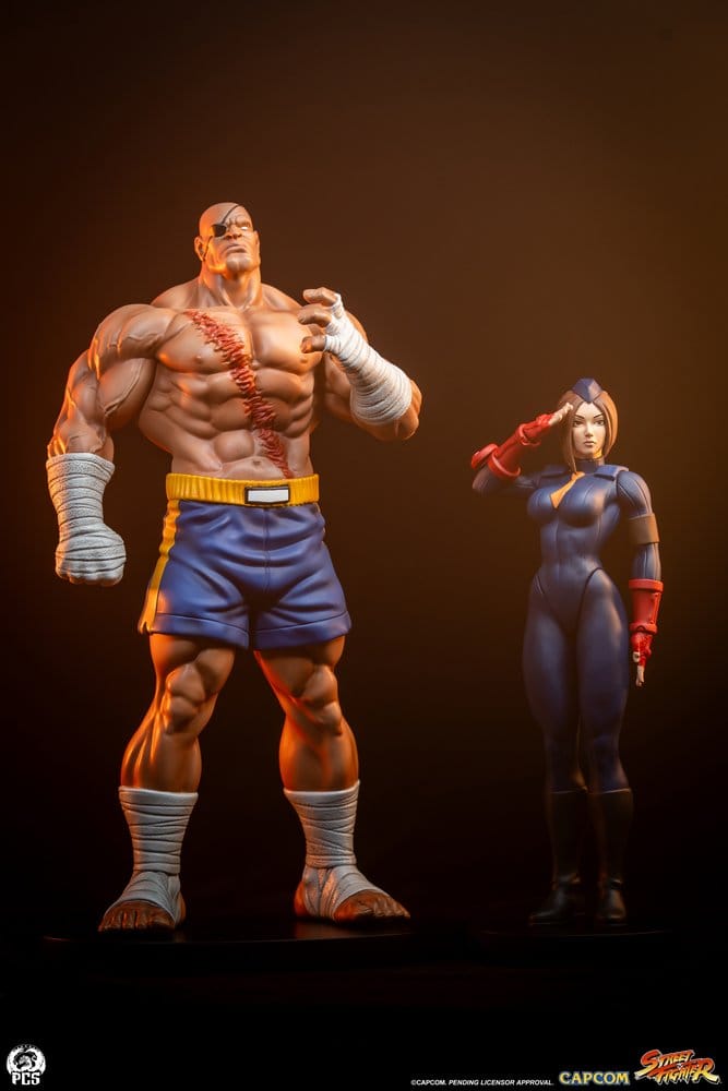 Street Fighter Street Jam Statuen 1/10 Sagat & Juli 24 cm - Anime Figuren günstig kaufen