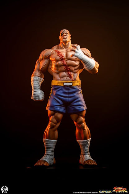 Street Fighter Street Jam Statuen 1/10 Sagat & Juli 24 cm - Anime Figuren günstig kaufen