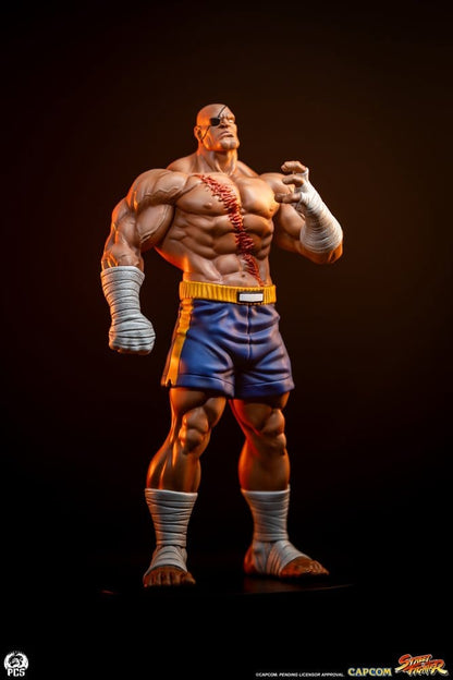 Street Fighter Street Jam Statuen 1/10 Sagat & Juli 24 cm - Anime Figuren günstig kaufen