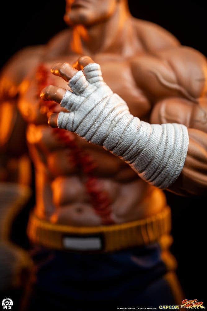 Street Fighter Street Jam Statuen 1/10 Sagat & Juli 24 cm - Anime Figuren günstig kaufen