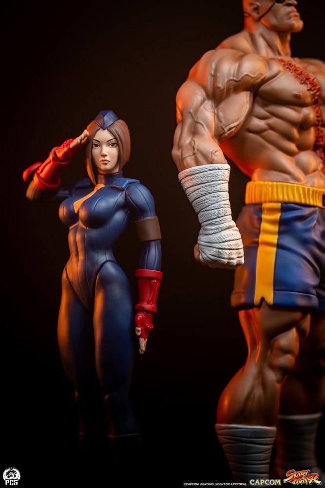 Street Fighter Street Jam Statuen 1/10 Sagat & Juli 24 cm - Anime Figuren günstig kaufen