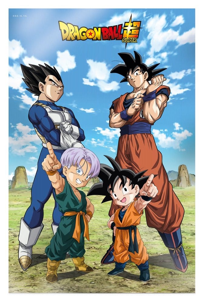 Dragon Ball Super 3D Poster Battle of Gods Goku Vegeta Family 38 x - Anime Figuren günstig kaufen