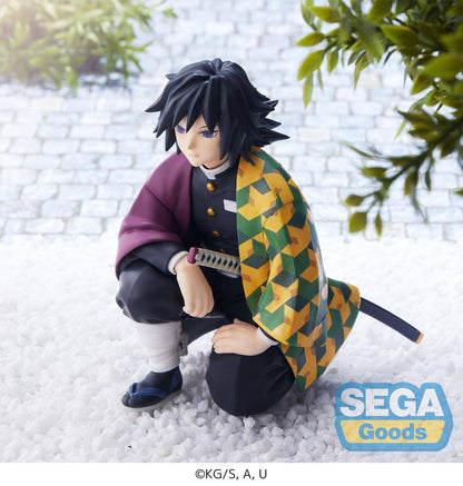 Giyu Tomioka (Hashira Meeting) / Demon Slayer: Kimetsu no Yaiba